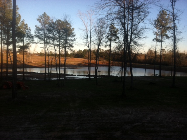 Attached picture Lake Photo 11 from House Pad.jpg